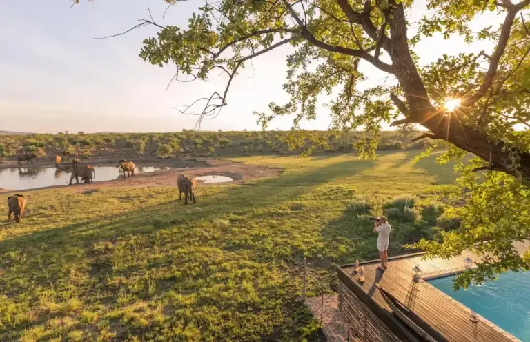 Madikwe-Game-Reserve.jpg