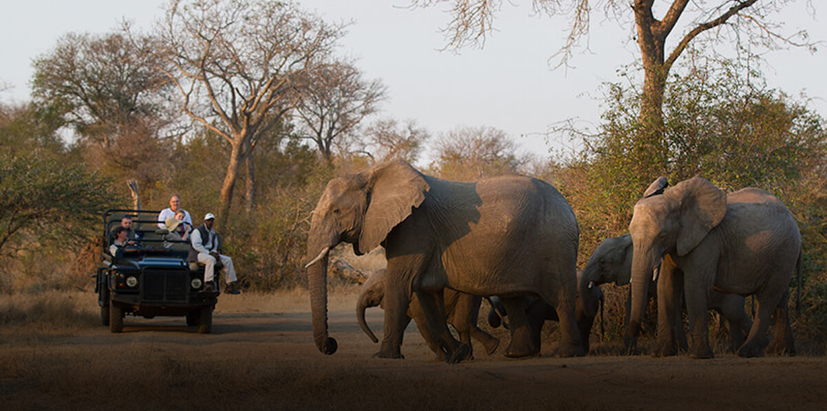 Kruger National Park