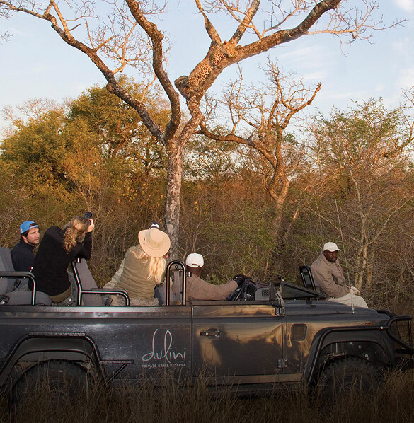 Sabi Sands