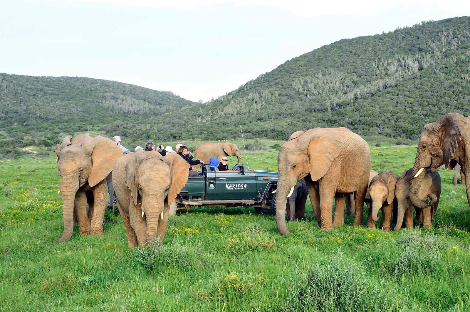 Eastern Cape