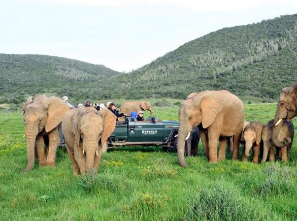 Eastern Cape