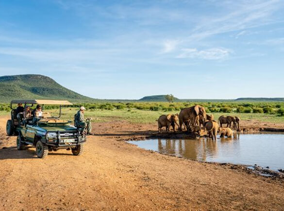 Madikwe