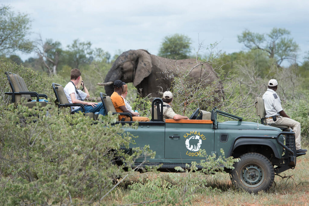 <h3>Shamwari Sarili Lodge</h3>