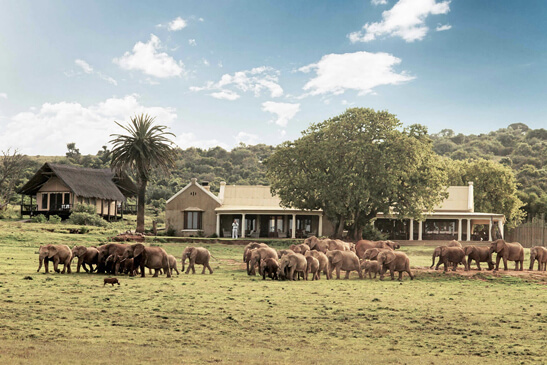 <h3>Timbavati Kambuka Safari Lodge</h3>